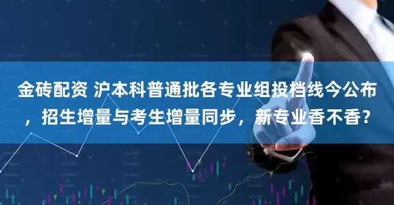 金砖配资 沪本科普通批各专业组投档线今公布，招生增量与考生增量同步，新专业香不香？