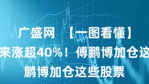 广盛网  【一图看懂】今年以来涨超40%！傅鹏博加仓这些股票