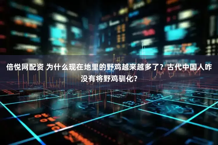 倍悦网配资 为什么现在地里的野鸡越来越多了？古代中国人咋没有将野鸡驯化？